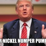 The uge ness | PIPER NICKEL NUMPER PUMPERS | image tagged in donald trump huge | made w/ Imgflip meme maker