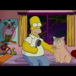 Tienes tantos estilos