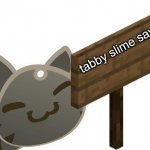 Tabby Slime Says template
