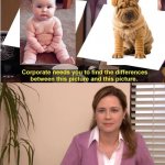 Wrinkles | image tagged in they're both the same picture,wrinkles,baby,puppy,fun | made w/ Imgflip meme maker