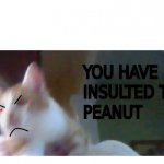 YOU HAVE INSULTED THE PEANUT template