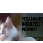 YOU HAVEN'T INSULTED THE PEANUT template