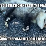 Possum | WHY DID THE CHICKEN CROSS THE ROAD ? MEMEs by Dan Campbell; TO SHOW THE POSSUM IT COULD BE DONE ! | image tagged in possum | made w/ Imgflip meme maker