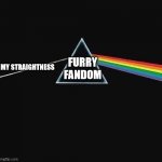 HMM | FURRY FANDOM; MY STRAIGHTNESS | image tagged in light in gay out,the furry fandom,furry,furries,furry memes | made w/ Imgflip meme maker