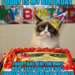 You guys also gave me the best birthday present, 2000 followers. Thank you all so much! | TODAY IS MY BIRTHDAY; I HOPE TO BE HERE FOR MANY MORE YEARS AND HOPE THAT I CAN KEEP MAKING MEMES FOR YOU GUYS | image tagged in memes,grumpy cat birthday,grumpy cat,birthday,happy birthday,thank you | made w/ Imgflip meme maker