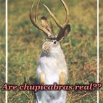 Jackalope Wonders | Are chupicabras real?? | image tagged in jackalope,chupicabra | made w/ Imgflip meme maker
