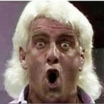 Ric Flair Whooo meme