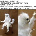I had to re-make this once due to some issues | MY ROOMATE: *CALLS THE GHOSTBUSTERS BECAUSE THEY THINK THERE'S A GHOST*
ME WHO HAS BEEN LIVING HERE FOR ALMOST 300 YEARS AND HASN'T HAD A PR | image tagged in memes,persian cat room guardian,funni | made w/ Imgflip meme maker