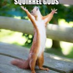 yep why not | PRAY TO THE SQUIRREL GODS; BOTTOM TEXT | image tagged in happy squirrel | made w/ Imgflip meme maker