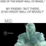 Yeah sadness 100 | ME: ¨MY EMOTIONAL WALL IS THE SIZE OF THE GREAT WALL OF BRAZIL.¨; MY FRIEND: ¨BUT THERE IS NO GREAT WALL OF BRAZIL?¨; ME: | image tagged in y same better | made w/ Imgflip meme maker