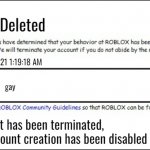 Poison Ban | Account Deleted; 3/29/2021 1:19:18 AM; gay; Inappropriate; Your account has been terminated, and new account creation has been disabled | image tagged in banned from roblox 2008 interface edition | made w/ Imgflip meme maker
