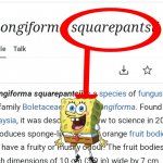 Spongiform Squarepantsii