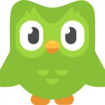 Duolingo OWL template