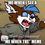 adhhsurhddh | ME WHEN I SEE A; "ME WHEN THE" MEME | image tagged in confused furry screaming | made w/ Imgflip meme maker