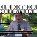 tragedy | ME FINDING OUT REDBULL DOES NOT GIVE YOU WINGS | image tagged in my dissapointment is immeasurable and my day is ruined | made w/ Imgflip meme maker