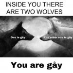 Two gay wolves meme