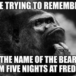 fnaf meme | ME TRYING TO REMEMBER; THE NAME OF THE BEAR FROM FIVE NIGHTS AT FREDDY'S | image tagged in thinking monkey | made w/ Imgflip meme maker