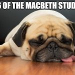 Dog tired | DAY 286 OF THE MACBETH STUDY GUIDE | image tagged in dog tired | made w/ Imgflip meme maker
