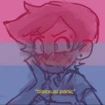 Bisexual panic 1