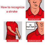 How to Recognize a Stroke | My dog's vegan | image tagged in how to recognize a stroke,vegan,dog | made w/ Imgflip meme maker