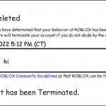 Roblox be like in 2008 | Account Deleted; 1/14/2022 5:12 PM (CT); hi; Inappropriate; Your account has been Terminated. | image tagged in banned from roblox 2008 interface edition,roblox,account deleted | made w/ Imgflip meme maker