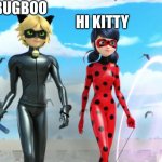 Miraculous Ladybug and Cat Noir (Chat Noir) | HI BUGBOO; HI KITTY | image tagged in miraculous ladybug and cat noir chat noir | made w/ Imgflip meme maker