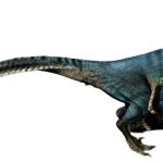 Blue feathered Velociraptor