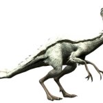 Oviraptor 3 (JWD Design)