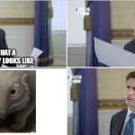 Confused Jonathan Swan | THIS IS WHAT A WOMBAT REALLY LOOKS LIKE | image tagged in confused jonathan swan | made w/ Imgflip meme maker
