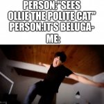 i want to jump off the Burj Khalifa building | PERSON:"SEES OLLIE THE POLITE CAT"
PERSON:IT'S BELUGA-; ME: | image tagged in markiplier punches you,polite cat,beluga | made w/ Imgflip meme maker