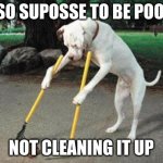 Dog poop | IM SO SUPOSSE TO BE POOPIN; NOT CLEANING IT UP | image tagged in dog poop | made w/ Imgflip meme maker