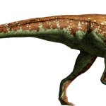 Pachycephalosaurus (Website Design)