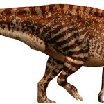 Parasaurolophus (Website Design)