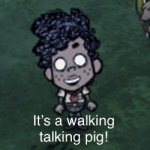 It’s a walking talking pig