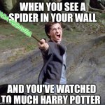 Spiders for Potterheads | WHEN YOU SEE A SPIDER IN YOUR WALL AND YOU'VE WATCHED TO MUCH HARRY POTTER AVADA KEDAVRA | image tagged in harry potter,spiders,killing,spider,harry potter meme | made w/ Imgflip meme maker