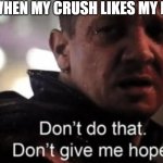 bruh i was melting | ME WHEN MY CRUSH LIKES MY POST | image tagged in hawkeye ''don't give me hope'' | made w/ Imgflip meme maker