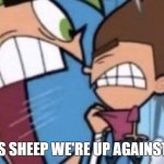 Praise Paul Heaton | IT'S SHEEP WE'RE UP AGAINST!!! | image tagged in cosmo yelling at timmy,housemartins,1980s,music,sheep,paul heaton | made w/ Imgflip meme maker