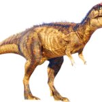 JPOG Carcharodontosaurus