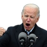 Joe Biden fist