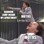 when will they learn | RANDOM LAMP INSIDE MY APARTMENT; MOTHS; MOTHS | image tagged in let me in,animals,everyday | made w/ Imgflip meme maker