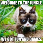 Jungle cat | WELCOME TO THE JUNGLE. WE GOT FUN AND GAMES. | image tagged in grumpy cat in a jungle | made w/ Imgflip meme maker