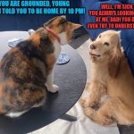 if pets were like people... | YOU ARE GROUNDED, YOUNG LADY! I TOLD YOU TO BE HOME BY 10 PM! WELL, I'M SICK OF YOU ALWAYS LOOKING DOWN AT ME, DAD! YOU DON'T EVEN TRY TO UNDERSTAND ME! | image tagged in cat looking down at dog,cat,dog,drama | made w/ Imgflip meme maker
