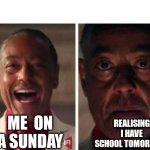 gus fring | REALISING I HAVE SCHOOL TOMORROW; ME  ON A SUNDAY | image tagged in gus fring | made w/ Imgflip meme maker