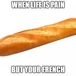 Baguette | WHEN LIFE IS PAIN; BUT YOUR FRENCH | image tagged in baguette | made w/ Imgflip meme maker