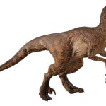Velociraptor 2
