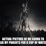 Done this too | ACTUAL PICTURE OF ME GOING TO ASK MY PARENTS FOR A CUP OF WATER | image tagged in siren head | made w/ Imgflip meme maker