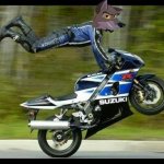 balto on a motorcycle | image tagged in motorcycle trick,wolves,memes,cool | made w/ Imgflip meme maker