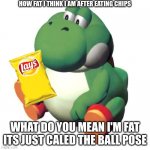 Fat Yoshi | HOW FAT I THINK I AM AFTER EATING CHIPS; WHAT DO YOU MEAN I'M FAT ITS JUST CALED THE BALL POSE | image tagged in fat yoshi | made w/ Imgflip meme maker