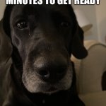 Sad dog | WHEN THERE’S 10 MINUTES TO GET READY | image tagged in sad dog | made w/ Imgflip meme maker