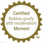 Certified Roblox goofy ahh moderation moment